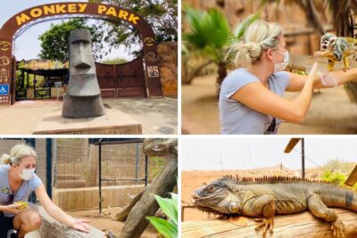 Visita al Monkey Park Zoo Tenerife